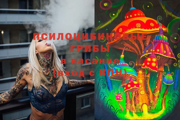 спиды Вяземский