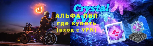 спиды Вяземский