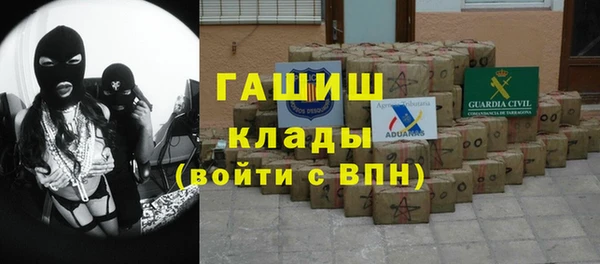 спиды Вяземский